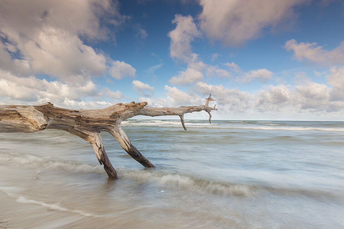  Beach landscape on the north beach near Zingst, Western Pomerania Lagoon Area National Park, Fischland-Darss-Zingst, Mecklenburg-Western Pomerania, Germany 