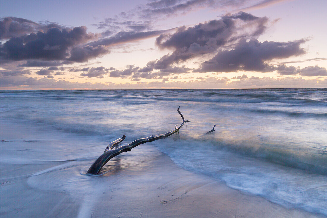  Evening atmosphere on the western beach of Darss, Western Pomerania Lagoon Area National Park, Fischland-Darss-Zingst, Mecklenburg-Western Pomerania, Germany 