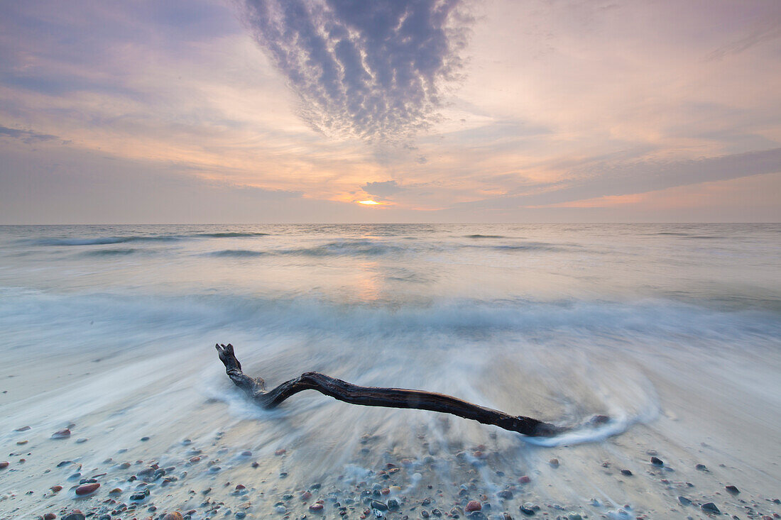  Evening atmosphere on the western beach of Darss, Western Pomerania Lagoon Area National Park, Fischland-Darss-Zingst, Mecklenburg-Western Pomerania, Germany 