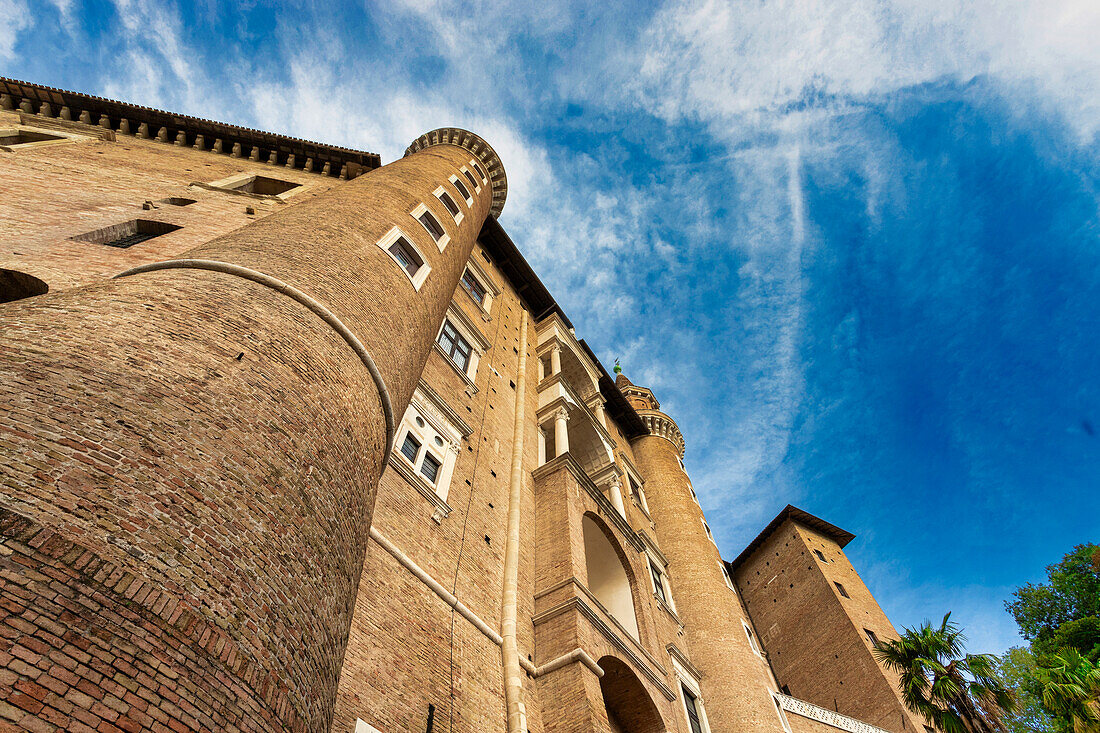 Rundturm und Mauern am Herzogspalast Palazzo Ducale, Urbino, Pesaro, Marken, Italien, Europa