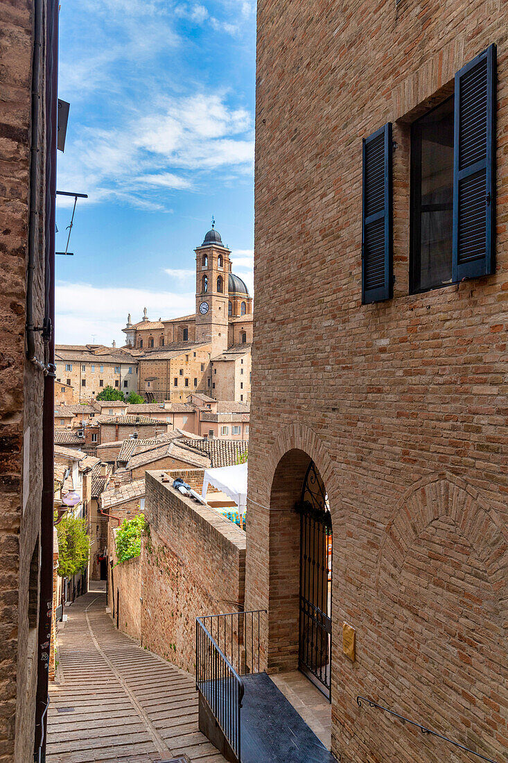 Blick auf Kathedrale Duomo di Santa Maria Assunta, Herzogspalast Palazzo Ducale und historisches Zentrum, Urbino, Pesaro, Marken, Italien, Europa