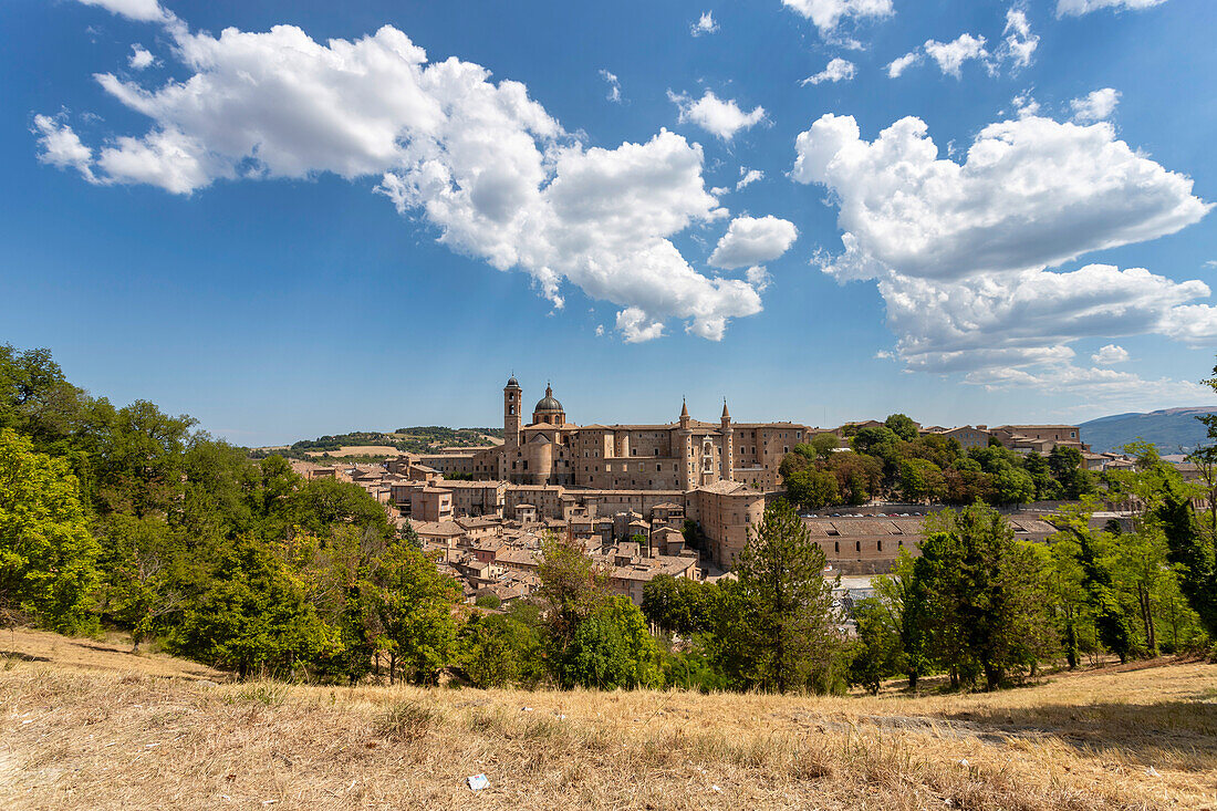 Blick vom Hügel auf Kathedrale Duomo di Santa Maria Assunta, Herzogspalast Palazzo Ducale und historisches Zentrum, Urbino, Pesaro, Marken, Italien, Europa