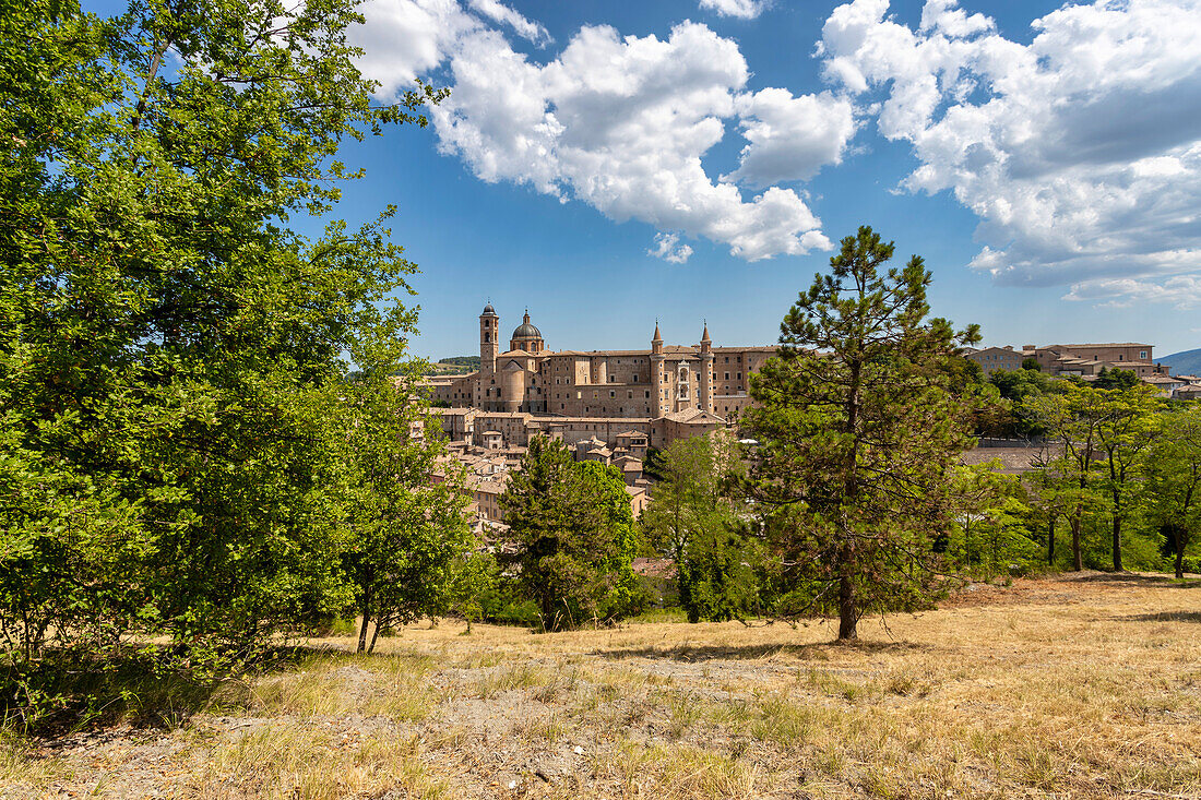 Blick vom Hügel auf Kathedrale Duomo di Santa Maria Assunta, Herzogspalast Palazzo Ducale und historisches Zentrum, Urbino, Pesaro, Marken, Italien, Europa