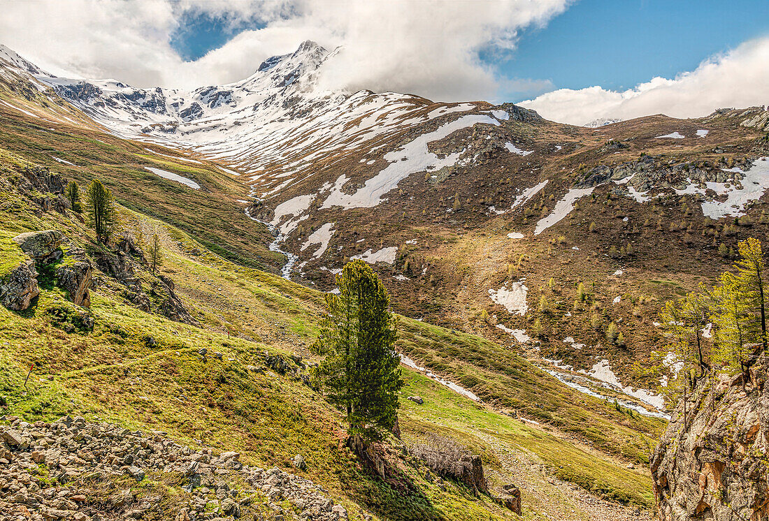 Blick zum Piz Albris und Paradishütte, oberhalb der Alp Languard, Val Languard, bei Pontresina, Engadin, Graubünden, Schweiz