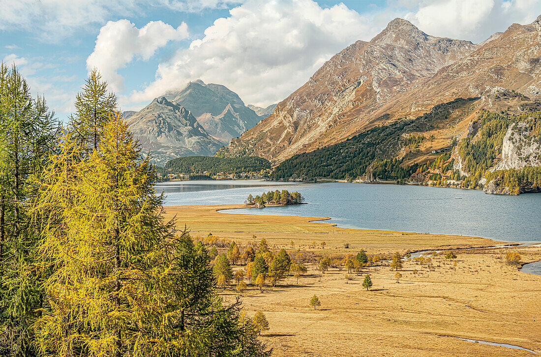 Herbstlandschaft am Silsersee, Sils, bei St. Moritz, Oberengadin, Engadin, Graubünden, Schweiz