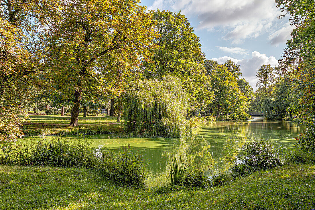 Park am Schloßteich, Schlossteichpark, Chemnitz, Sachsen, Deutschland