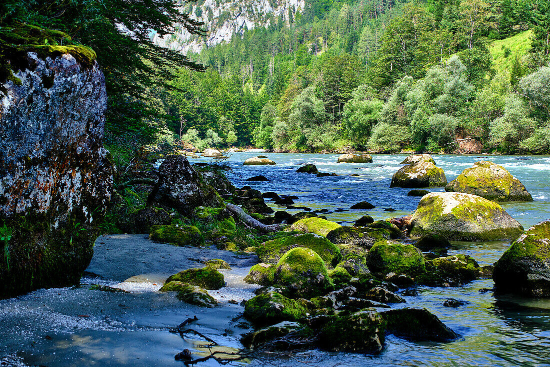  Gesäuse National Park, Styria-Austria. River Enns 