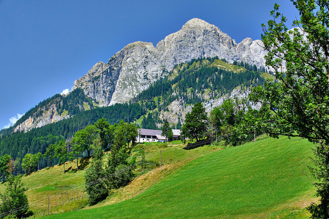  Gesäuse National Park, Styria-Austria. 