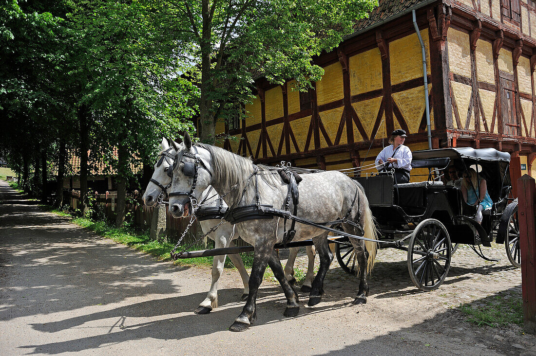 Den Gamle By or The Old Town, open air town museum that consists of 75 historical buildings collected from 20 townships in all parts of the country (originally erected between 17th and 20th century), Aarhus, Jutland Peninsula, Denmark, Northern Europe