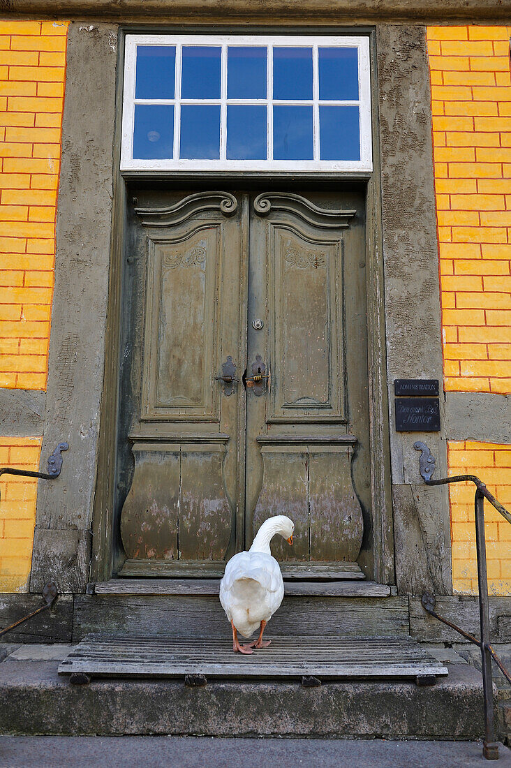 Den Gamle By or The Old Town, open air town museum that consists of 75 historical buildings collected from 20 townships in all parts of the country (originally erected between 17th and 20th century), Aarhus, Jutland Peninsula, Denmark, Northern Europe