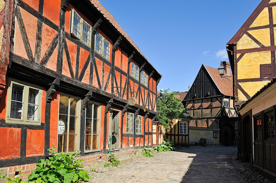 Den Gamle By or The Old Town, open air town museum that consists of 75 historical buildings collected from 20 townships in all parts of the country (originally erected between 17th and 20th century), Aarhus, Jutland Peninsula, Denmark, Northern Europe