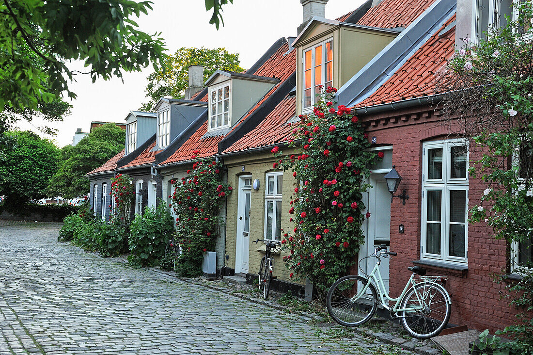 Typische kleine Reihenhäuser, Mollestien Lane, Zentrum von Aarhus, Halbinsel Jütland, Dänemark, Nordeuropa