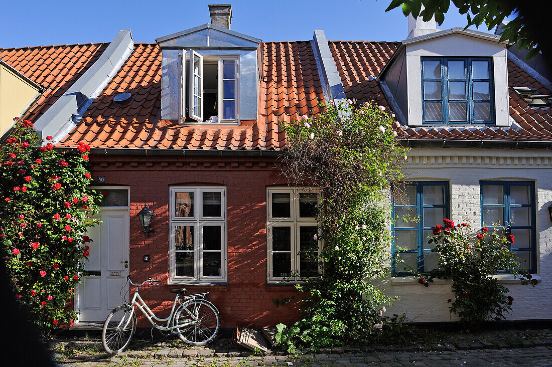 Mollestien lane, picturesque cobbled street right in the centre of Aarhus, Jutland Peninsula, Denmark, Northern Europe