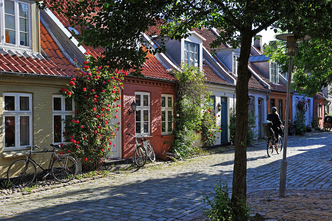 Typische kleine Reihenhäuser, Mollestien Lane, Zentrum von Aarhus, Halbinsel Jütland, Dänemark, Nordeuropa