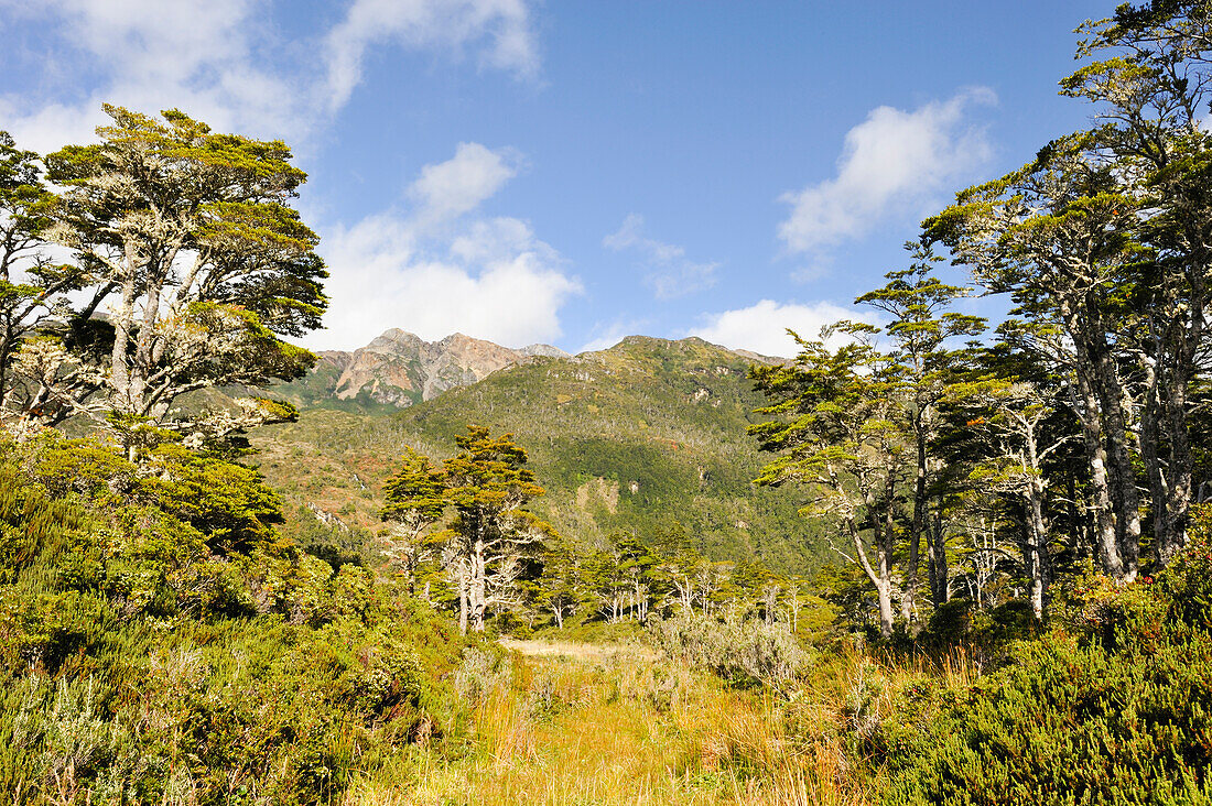 Ainsworth Bay,Alberto de Agostini National Park,Tierra del Fuego, Patagonia,Chile,South America