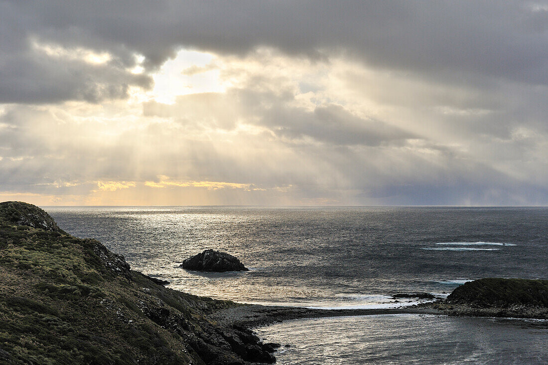 Horn island,Tierra del Fuego, Patagonia,Chile,South America