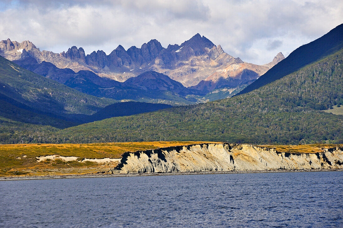 Beagle Channel bank near Puerto Williams,Navarino Island,Tierra del Fuego,Antarctic,Chile,South America