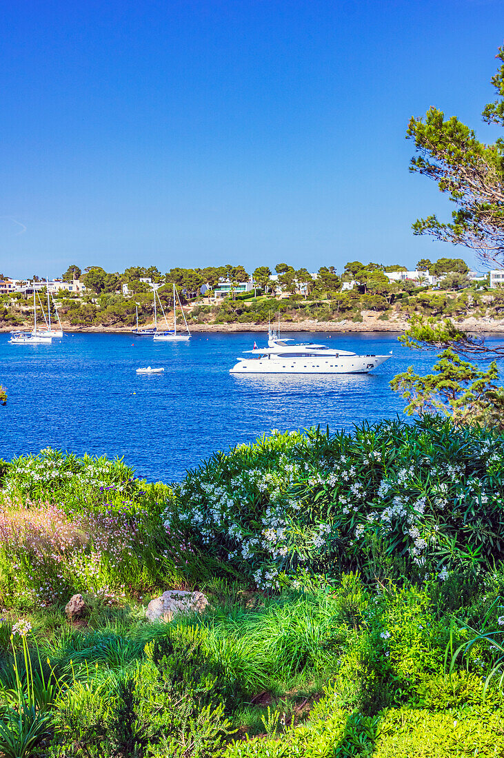  The bay of Porto Pedro on Mallorca, Spain 