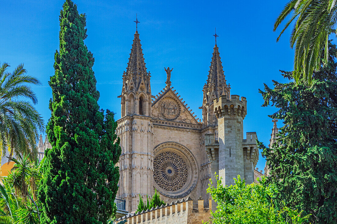  Partial view of the Cathedral La Seu, Palma, Mallorca, Balearic Islands, Spain, Mediterranean, Europe 