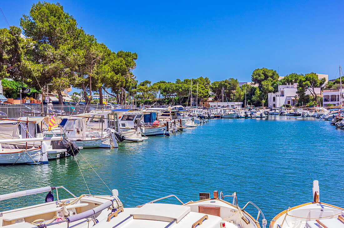 Der Hafen mit Booten, Bucht von Portopetro, Gemeindegebiet Santanyí, Südostküste, Mallorca, Balearen, Spanien