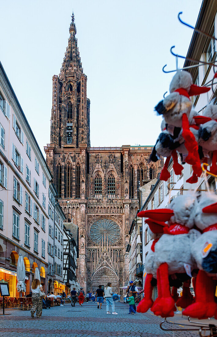  Strasbourg Cathedral (Münster zu Strasbourg, Liebfrauenmünster, La Cathedrale Notre-Dame) in Strasbourg in the Bas-Rhin department in the Grand Est region of Alsace in France 