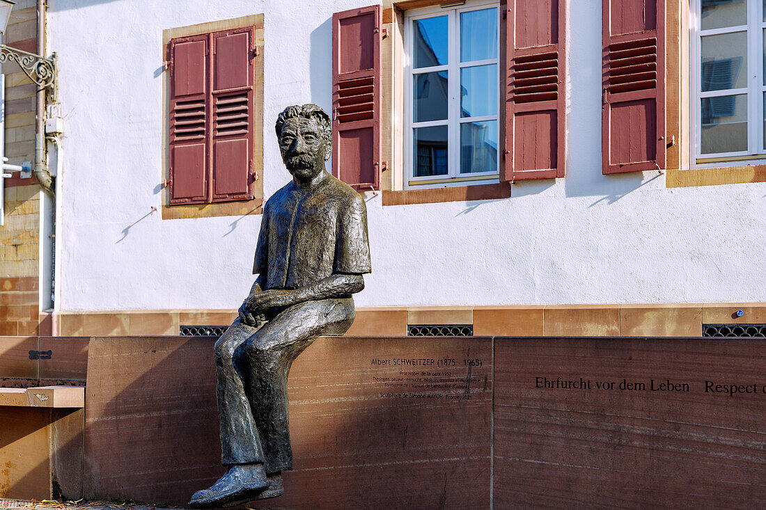  Bronze sculpture of Albert Schweitzer at Place Saint-Thomas (Thomas Square) in Strasbourg in the Bas-Rhin department in the Grand Est region of Alsace in France 