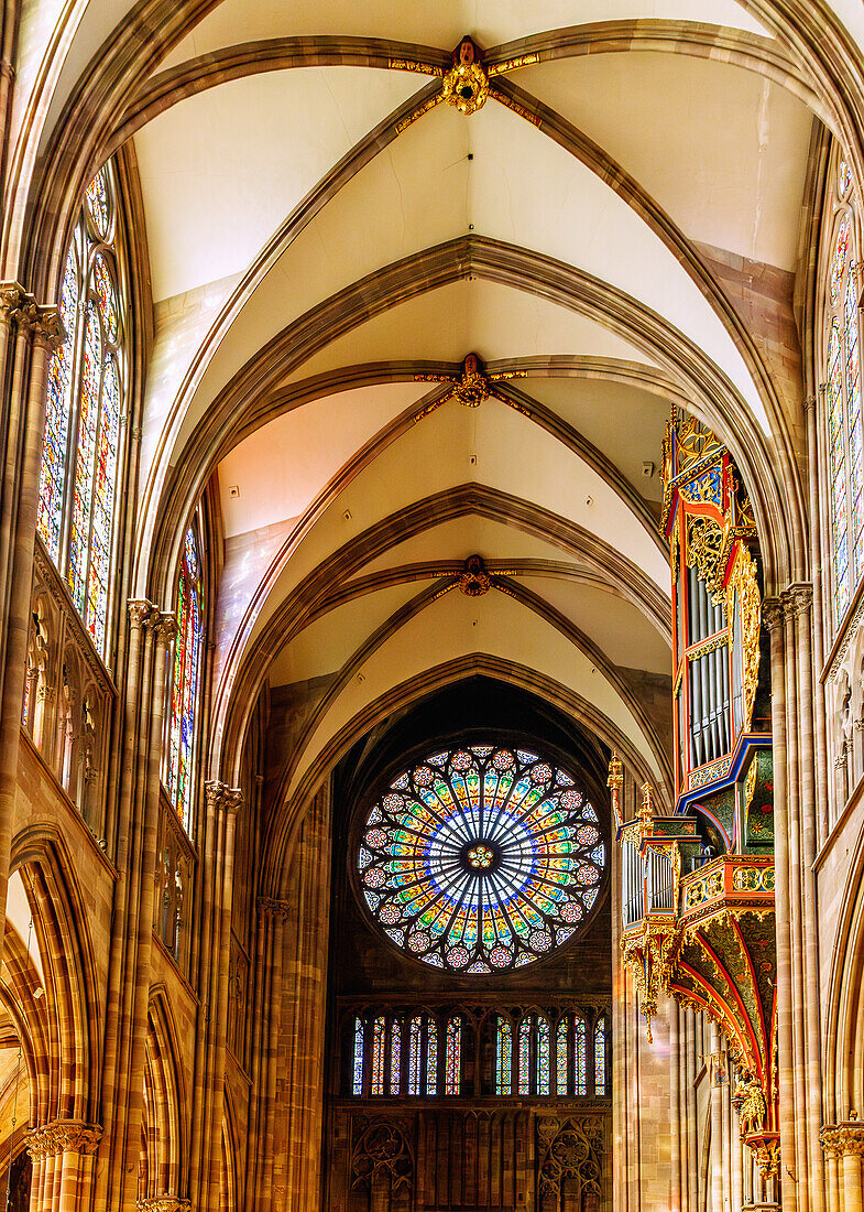 Mittelschiff mit Rosette über dem Mittelprtal und Schwalbennestorgel in der Cathédrale Notre-Dame (Straßburger Münster) in Strasbourg im Département Bas-Rhin in der Region Grand Est im Elsass (Alsace) in Frankreich