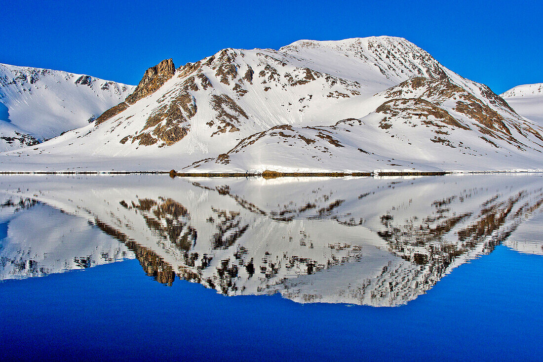 Holmiabukta Glacier, Holmiabukta Bay, Arctic, Spitsbergen, Svalbard, Norway, Europe