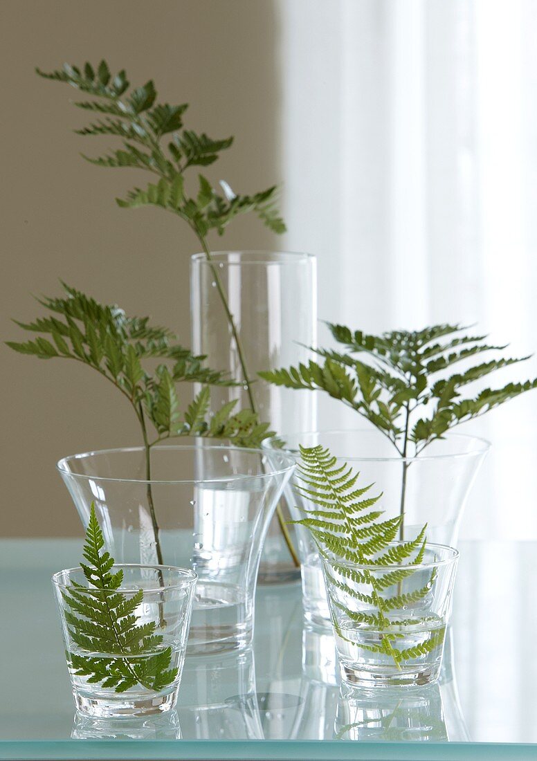 Individual fern leaves in glasses