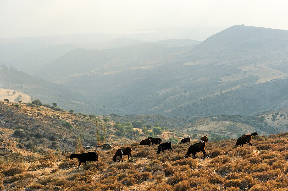 Akamas peninsula landscape around Droussia,Cyprus,Eastern Mediterranean Sea