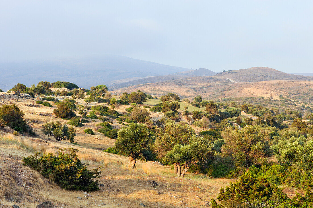 Akamas peninsula landscape around Droussia,Cyprus,Eastern Mediterranean Sea