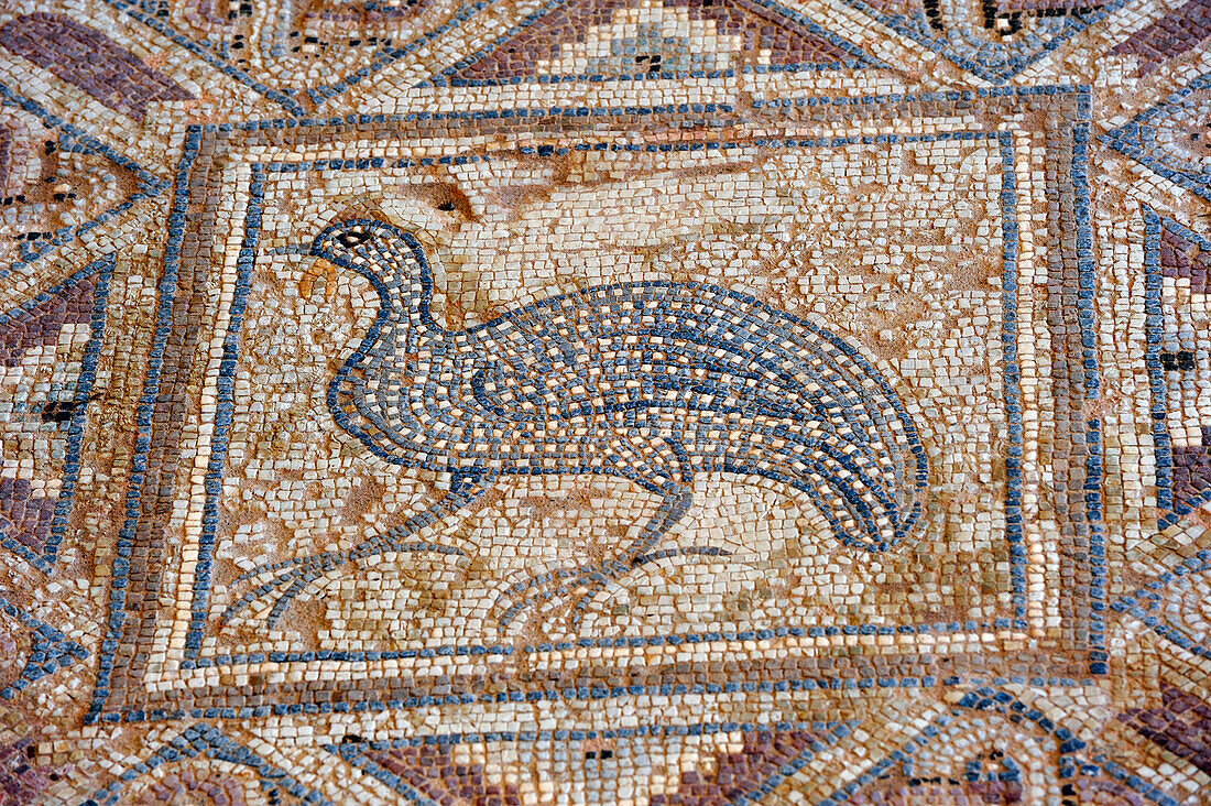 mosaic in the Complex of Eustolios at Kourion,Cyprus,Eastern Mediterranean Sea