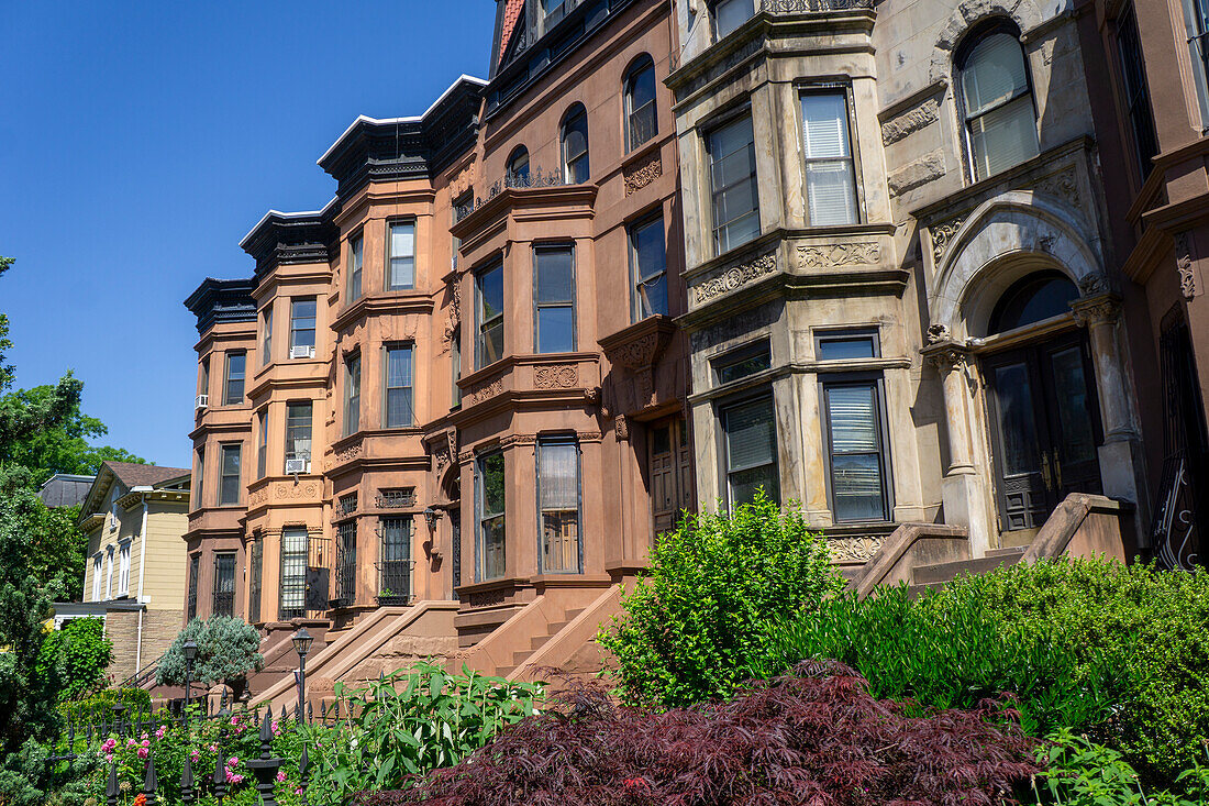  Reihe von Brownstone-Häusern, MacDonough Street, Bedford-Stuyvesant, Brooklyn, New York City, New York, USA 