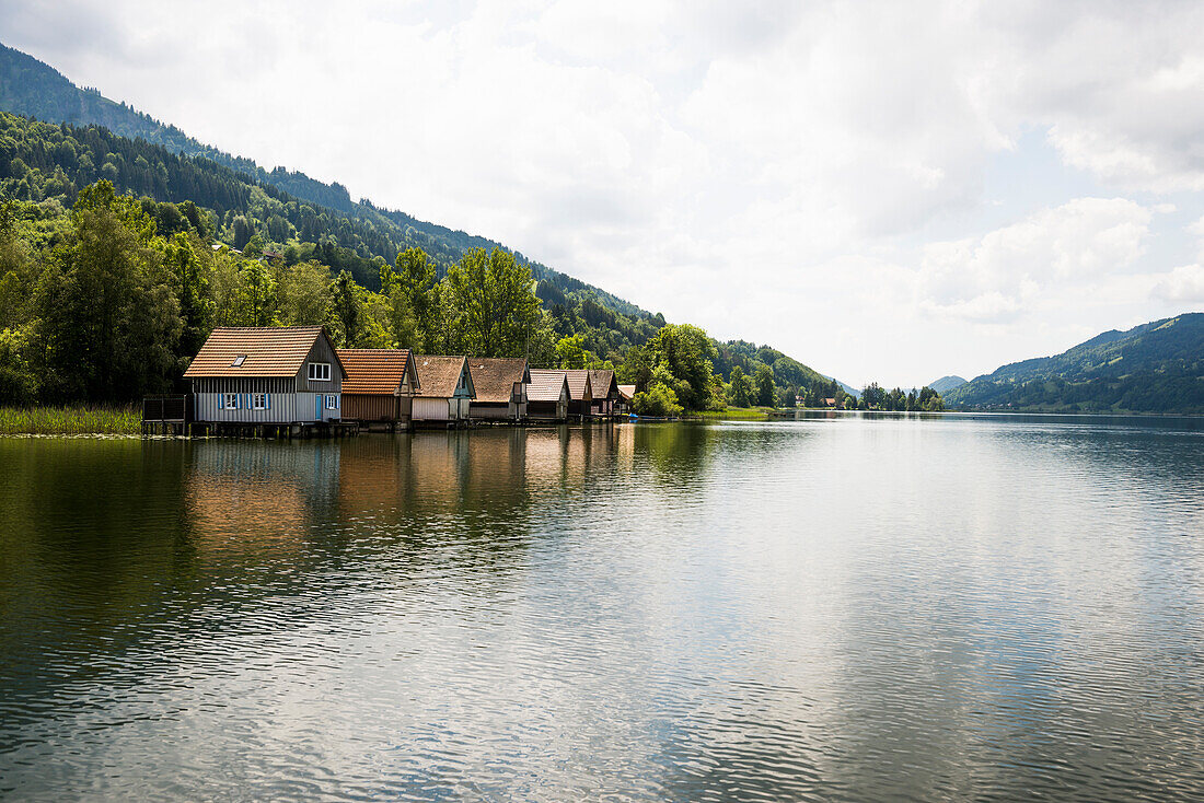  Bühl, Großer Alpsee, Immenstadt, Oberallgäu, Allgäu, Swabia, Bavaria, Germany 