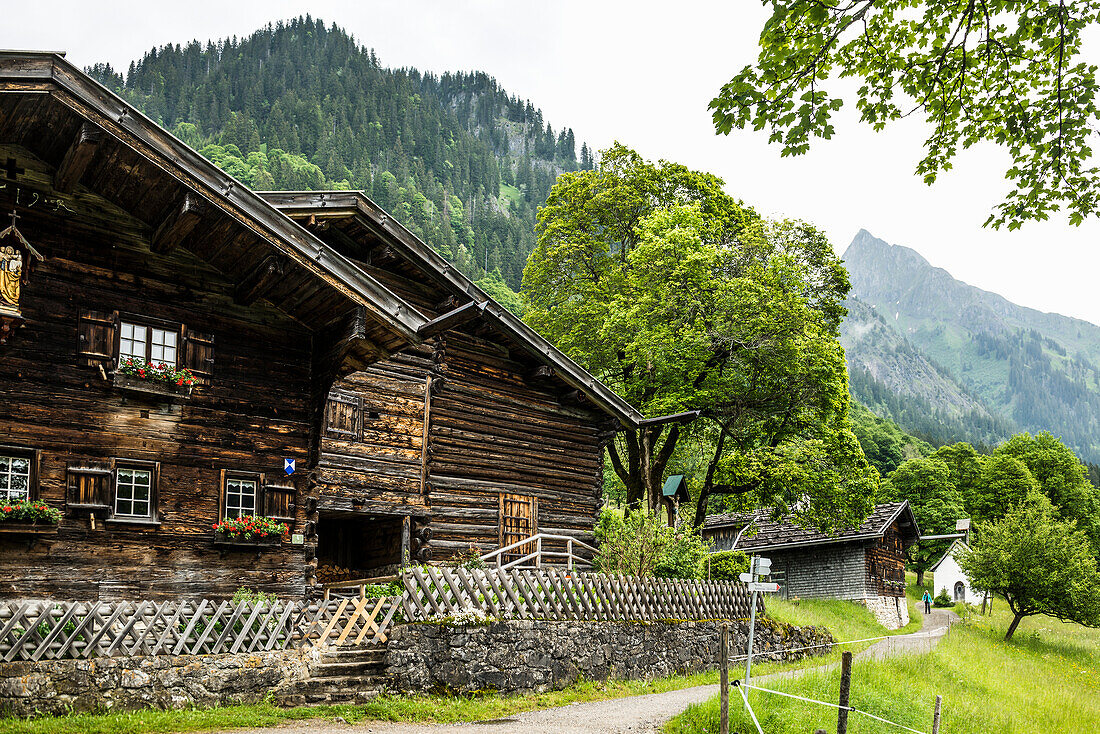  Mountain farming village, Gerstruben, Dietersbachtal, near Oberstdorf, Allgäu Alps, Allgäu, Bavaria, Germany 