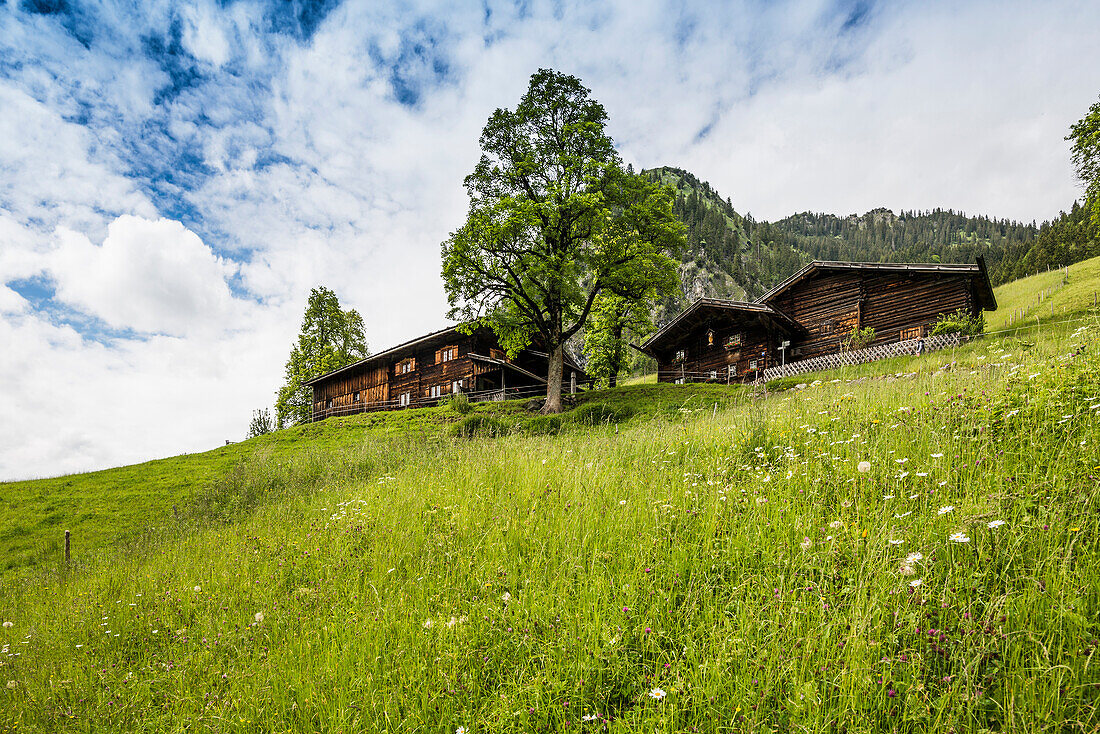 Bergbauerndorf, Gerstruben, Dietersbachtal, bei Oberstdorf, Allgäuer Alpen, Allgäu, Bayern, Deutschland