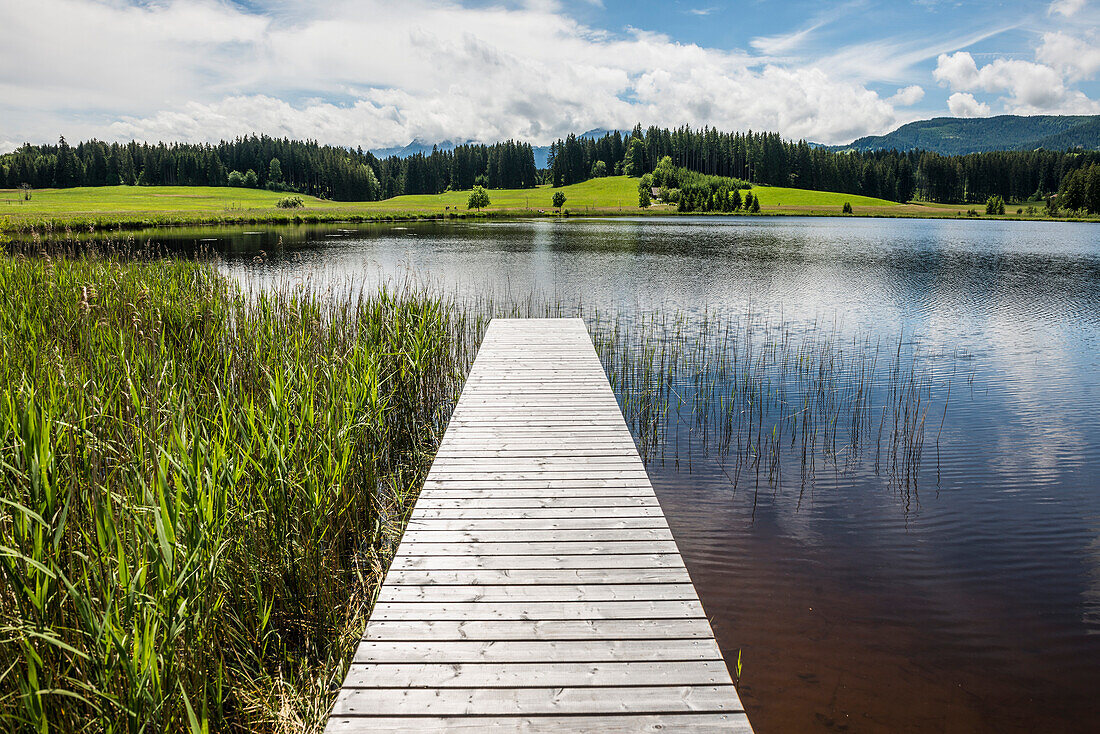  Attlesee, near Nesselwang, Oberallgäu, Allgäu, Swabia, Bavaria, Germany 