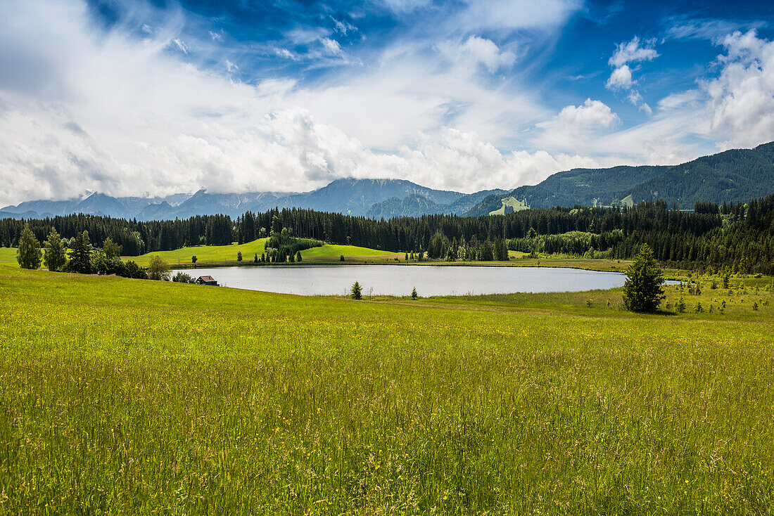 Attlesee, bei Nesselwang, Oberallgäu, Allgäu, Schwaben, Bayern, Deutschland