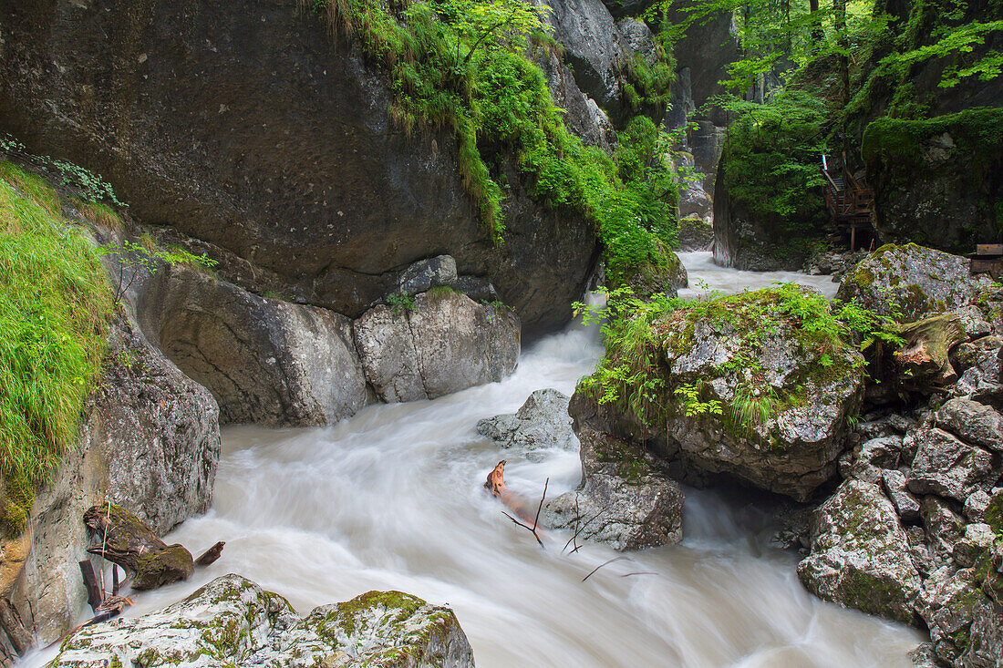  Watercourse in the Seisenbergklamm, Weissbach near Lofer, Salzburg, Austria 