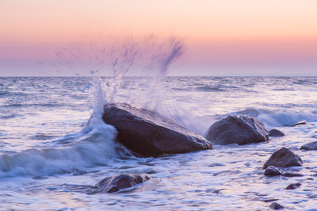  Stones at sunrise on the Brodtener Steilufer on the Baltic Sea, Schleswig-Holstein, Germany 