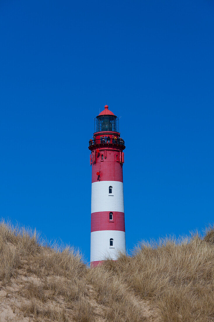 Leuchtturm, Insel Amrum, Nordfriesland, Schleswig-Holstein, Deutschland