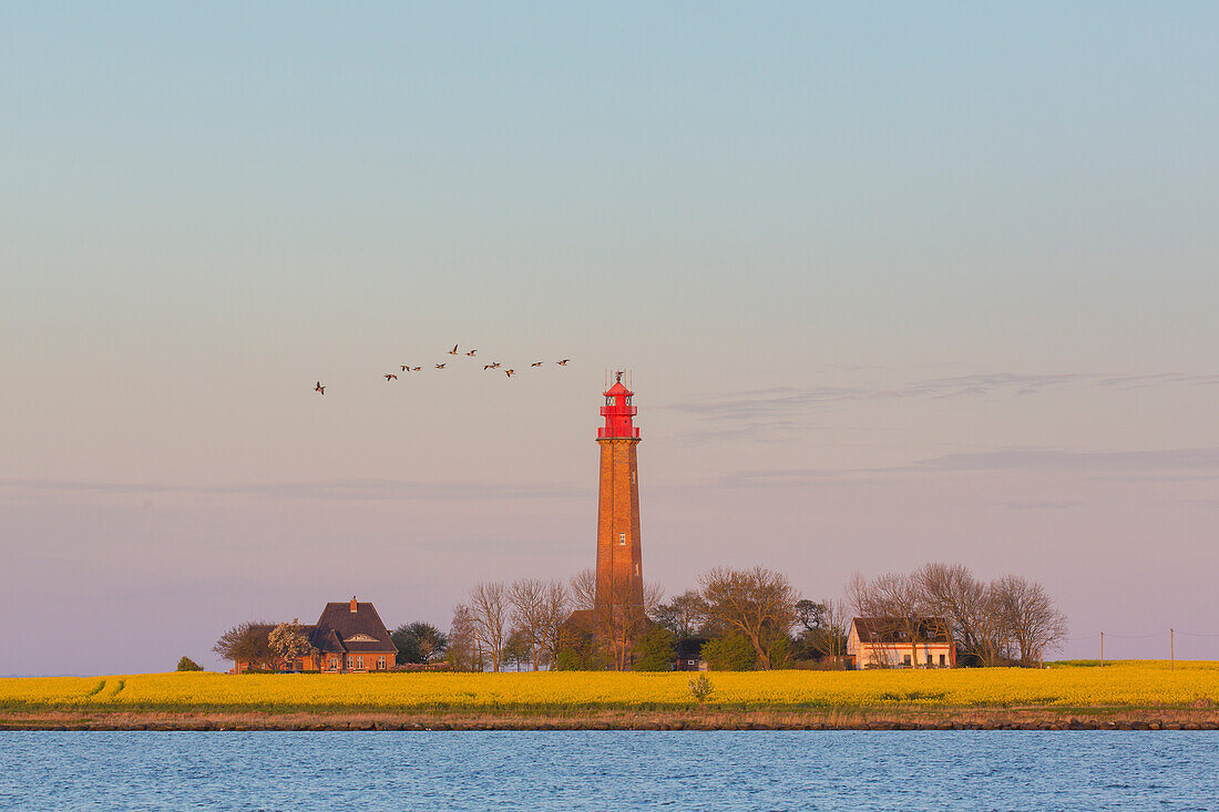  Fluegge lighthouse, Fehmarn Island, Schleswig-Holstein, Germany 