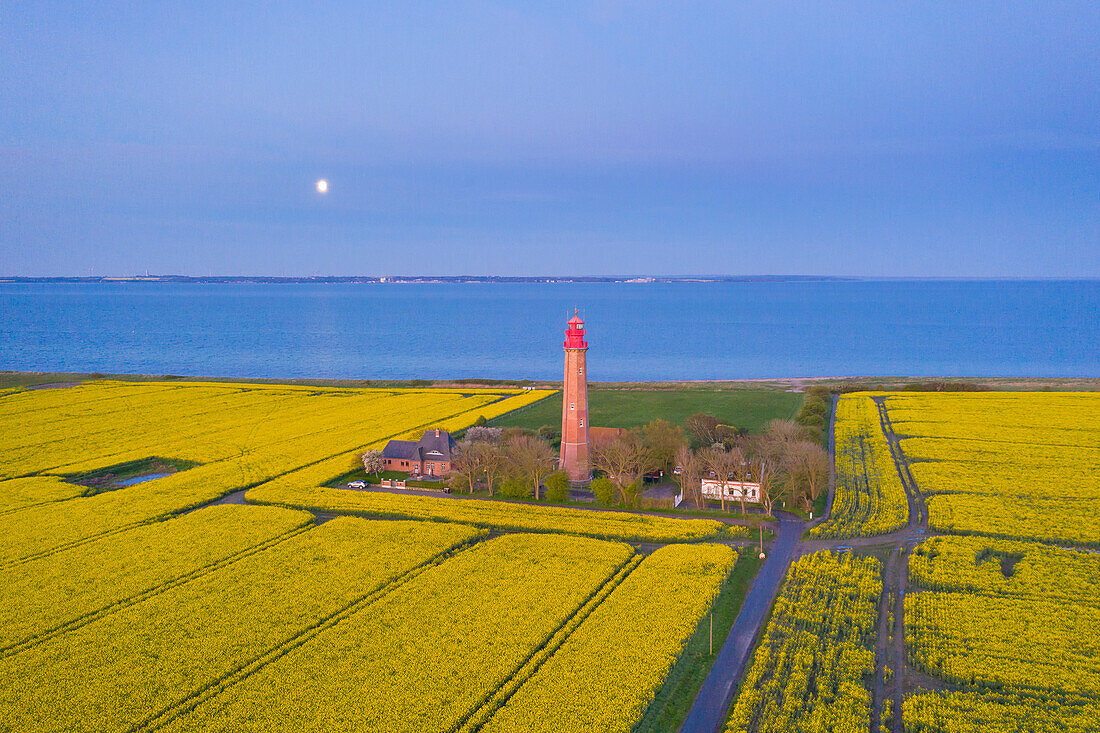  Fluegge lighthouse in the blooming rapeseed field on the island of Fehmarn, Schleswig-Holstein, Germany 