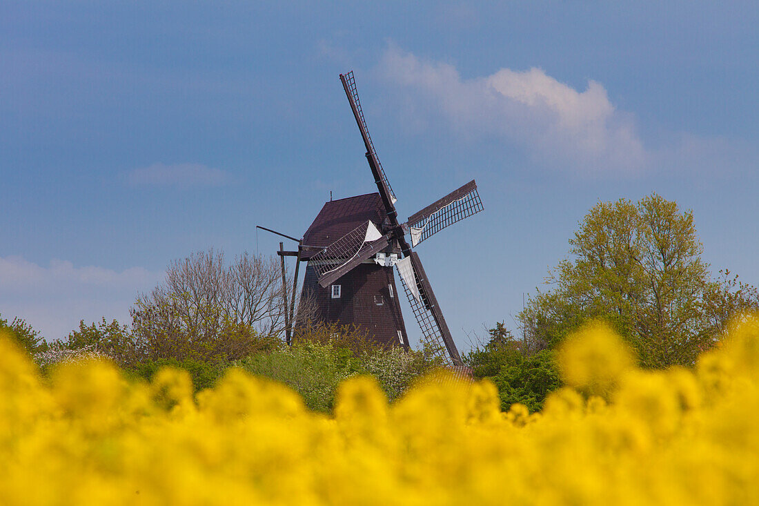  Windmill Lemkenhafen, Fehmarn Island, Schleswig-Holstein, Germany 