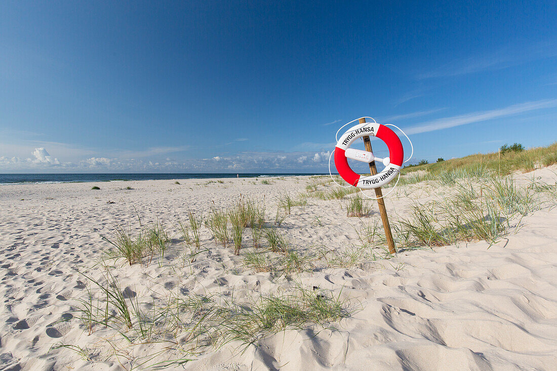  Beach at Sandhammaren on the Baltic Sea, Skane, Sweden 