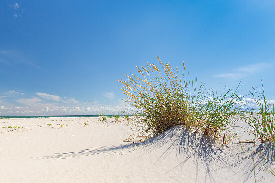  Beach at Sandhammaren on the Baltic Sea, Skane, Sweden 