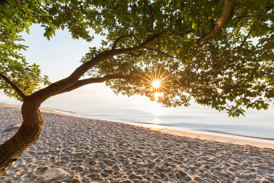  Sunrise on the beach of Knaebaeckshusen, Skåne County, Sweden 