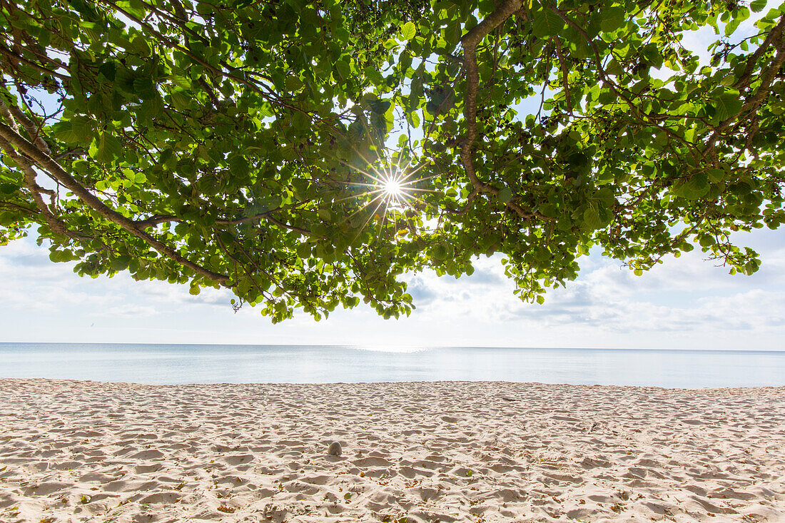  Knaebaeckshusen Beach, Skåne County, Sweden 