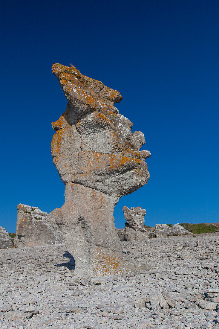  Limestone columns on the beach of Langhammar, Faroe Island, Gotland Island, Sweden 