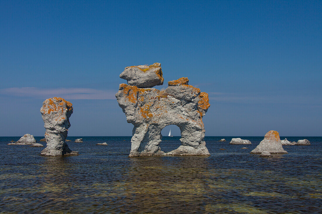  Limestone column in the Gamle Hamn nature reserve, Faroe Island, Gotland Island, Sweden 